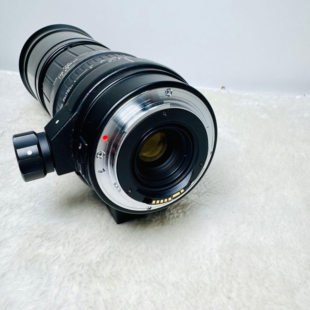 Canon用 SIGMA APO 170-500mm F5-6.3 一眼レフ