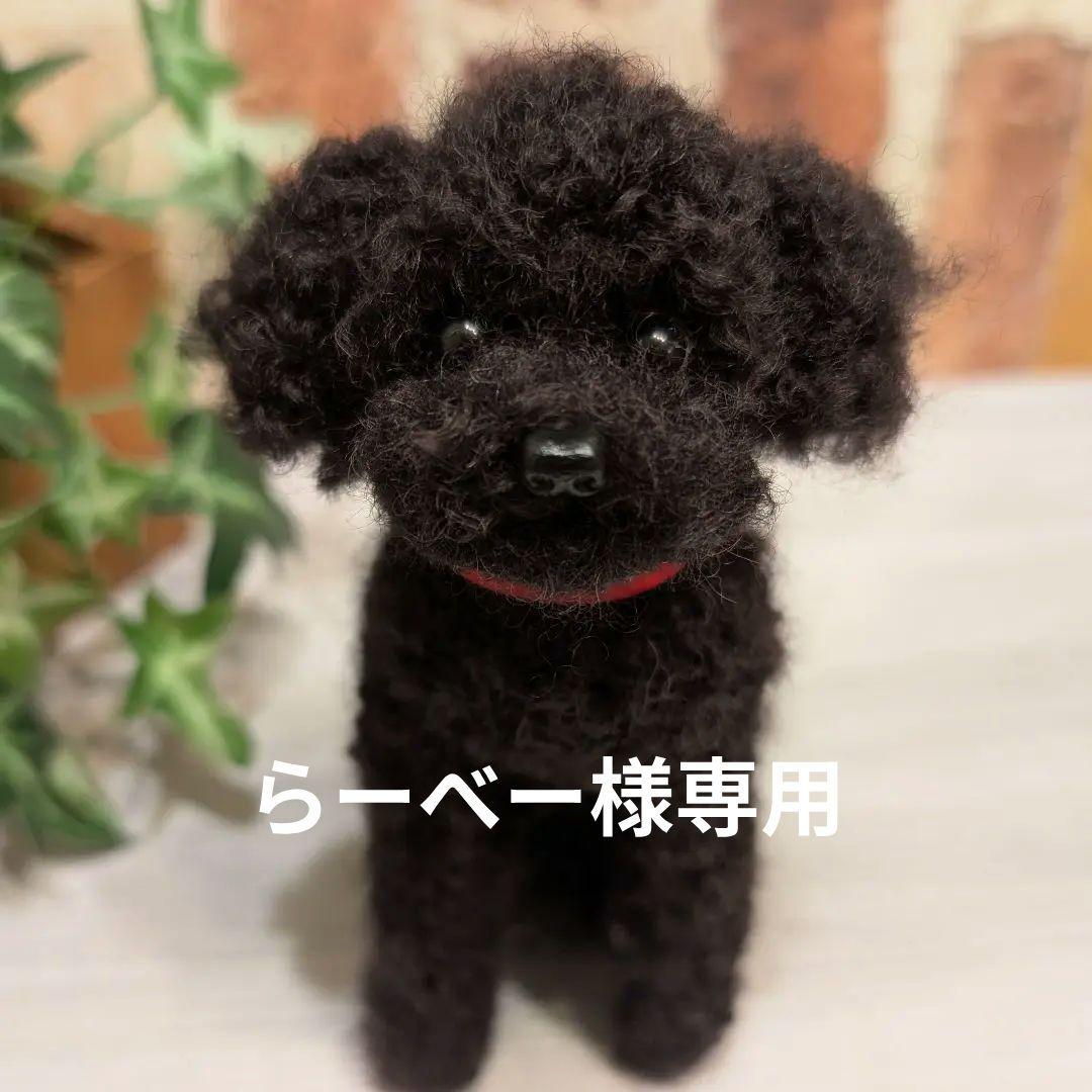 黒トイプードル♡