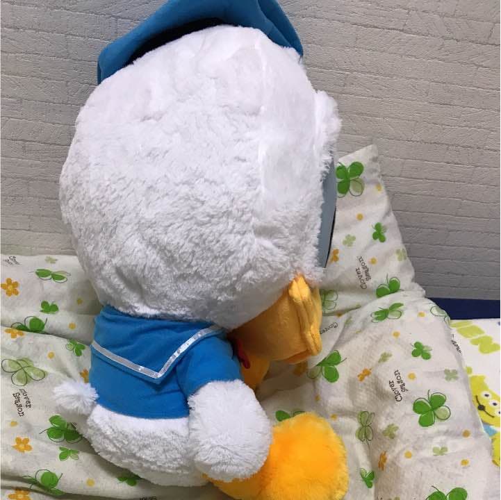 ドナルドジャンボぬいぐるみ