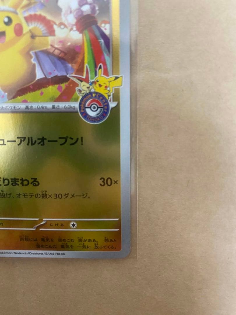 トウホクのピカチュウ　①