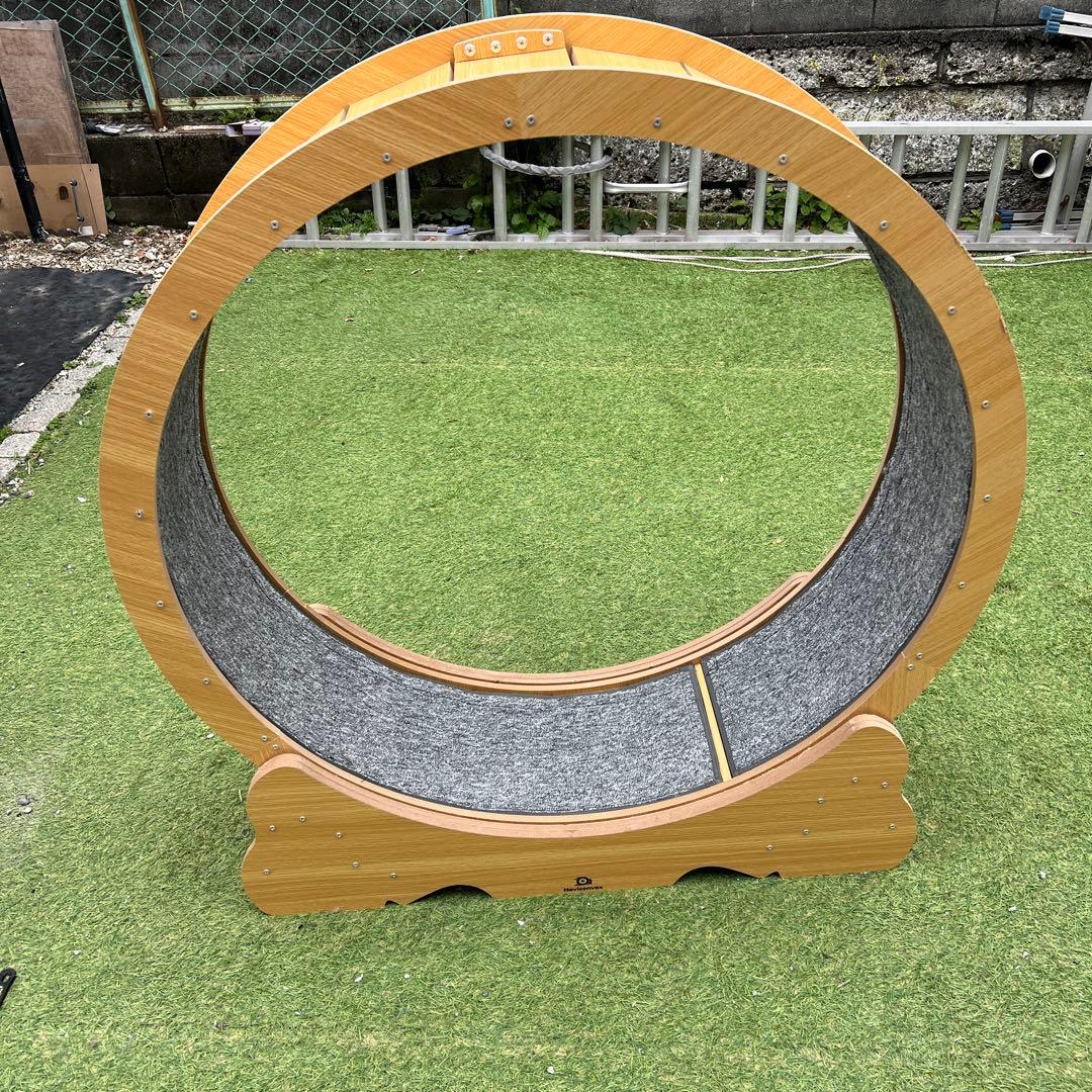 【横浜市内配達】キャットホイール 猫の車輪 XL 直径113センチメートル
