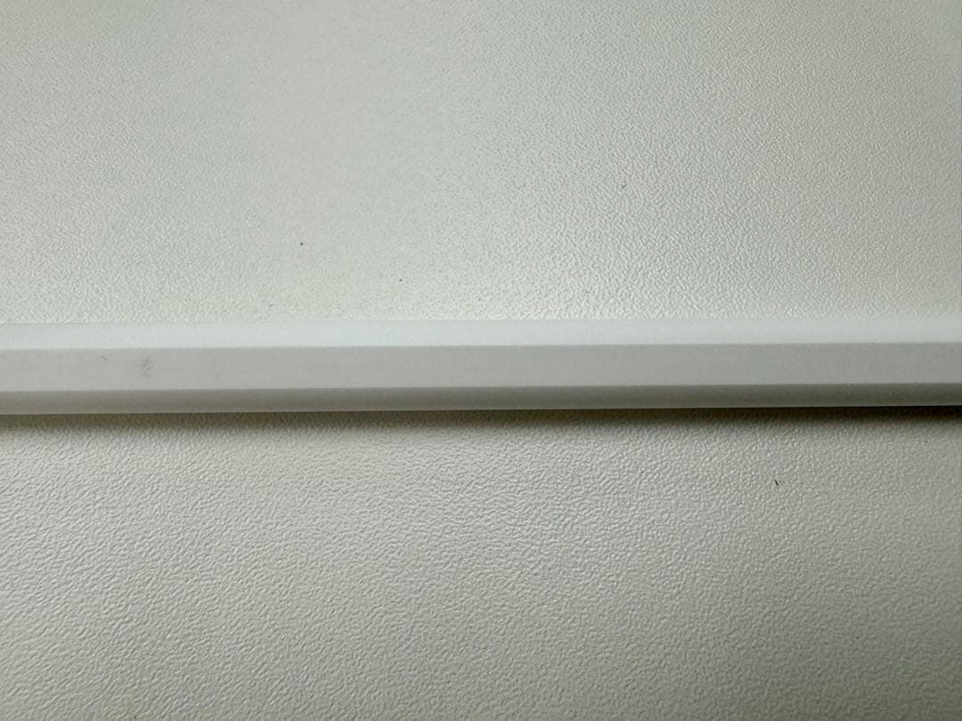 iPad Pro11インチ M4 256GB + Pencil Pro +おまけ