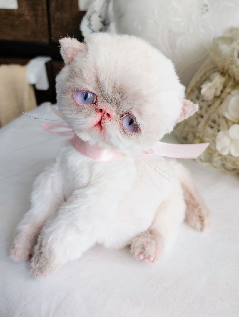 おふぅちゃんオーダー❤三つ子♡エキゾチック子猫ちゃん♡アートドール♡ぬいぐるみ