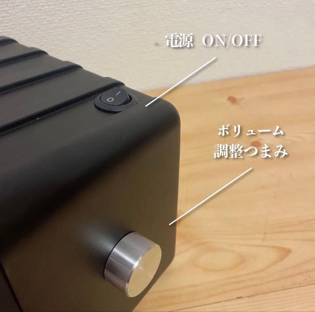BOSE 101mm Bluetoothスピーカー　2186