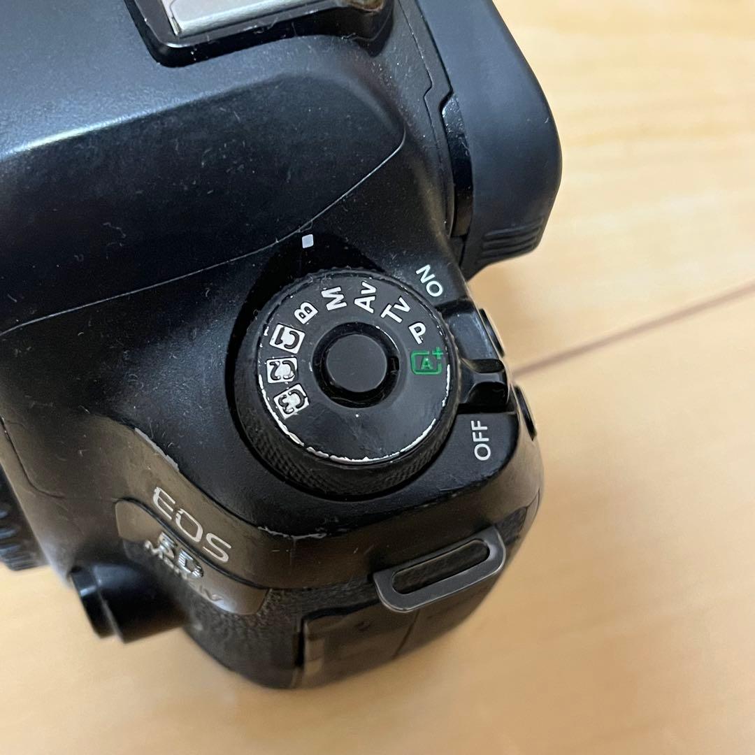 動作品 Canon EOS 5D Mark IV ボディー