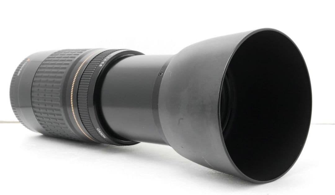 Canon EF 75-300mm F4-5.6 USM⭐️超望遠レンズ
