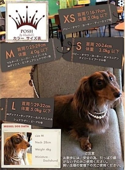 【送料込】POSH パール リード ダークブラウン × ブラック ローラ愛用