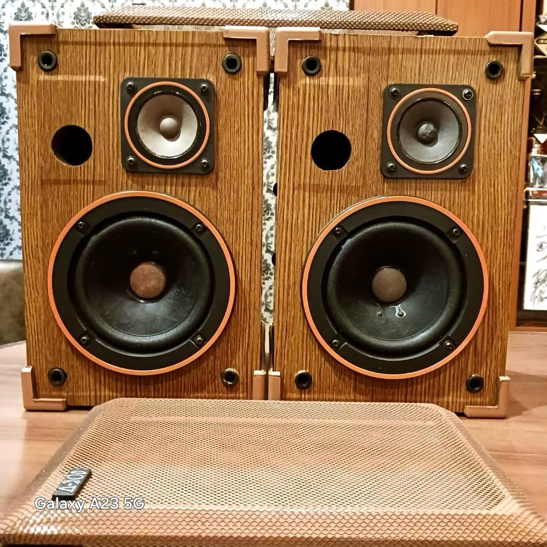 DIATONE A-301 業務用スピーカー 音出し確認済 ビンテージ