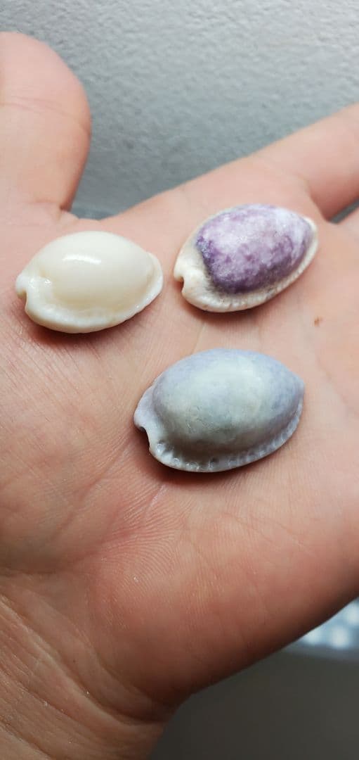 糸魚川翡翠 ラベンダー タカラガイ