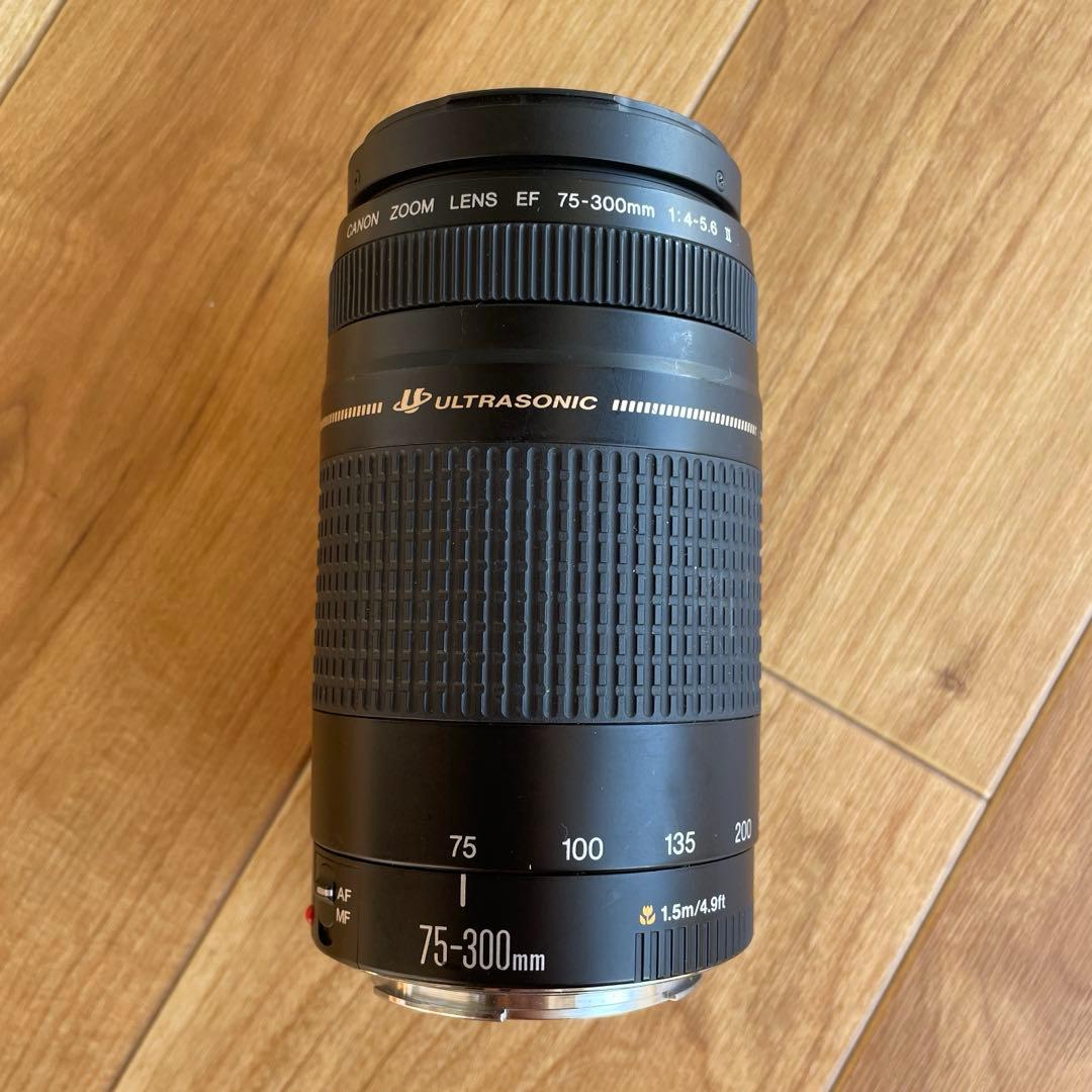 Canon 望遠レンズ Canon EF75-300㎜