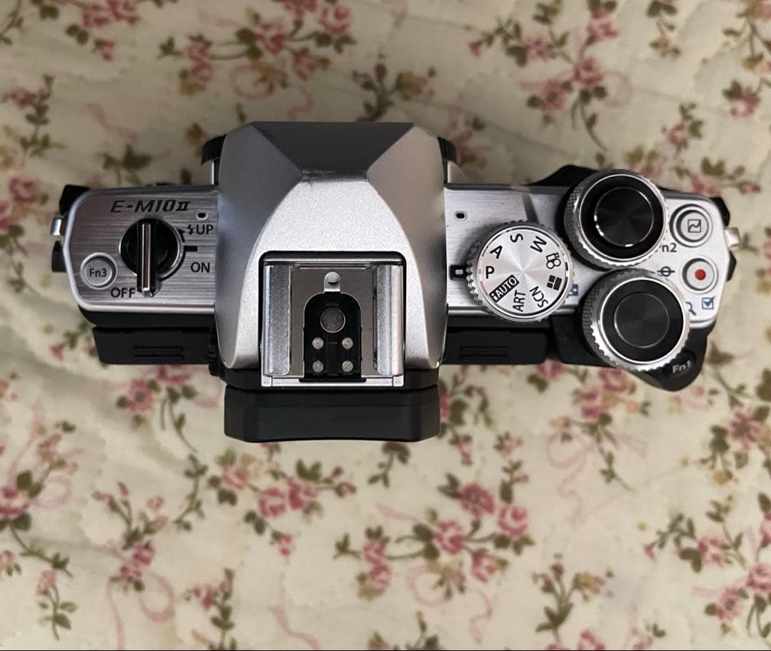 Olympus オリンパス OM-D E-M10 Mark II 2 ボディ