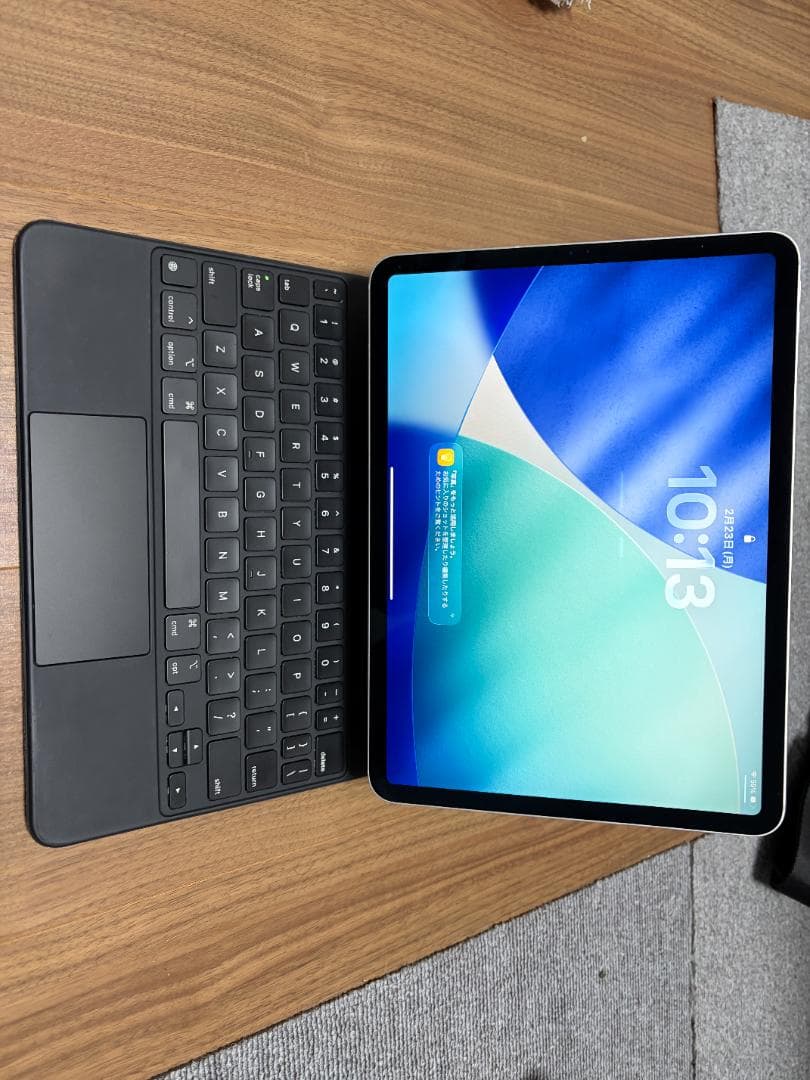 iPad Pro11第2世代128GBセルラー Pencil2付 不具合有