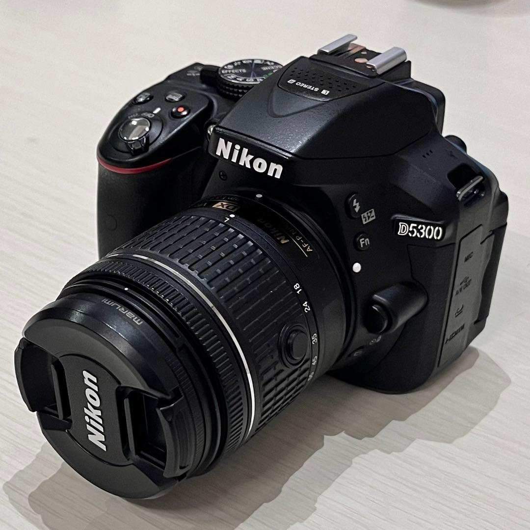 Nikon D5300 18-55VR 55-200VR ショット数3,118回