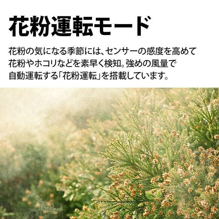 値下げ‼️美品 2023年製SHARP蚊取り機能 空気清浄機 FU-SK50-B