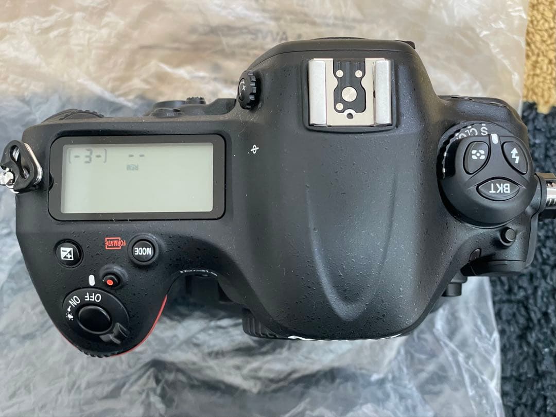 Nikon D4s (シャッター12回)