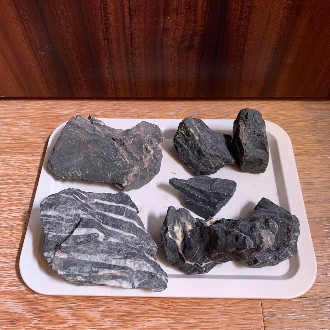 ADA 龍王石 セット
