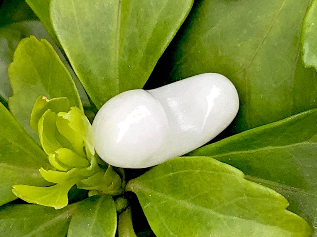 希少*珍しい単色‼️氷肌*アイスジェイド糸魚川翡翠勾玉　ソーティング付本物‼️