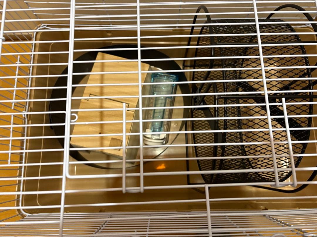 ハリネズミ　飼育セット　ケージ