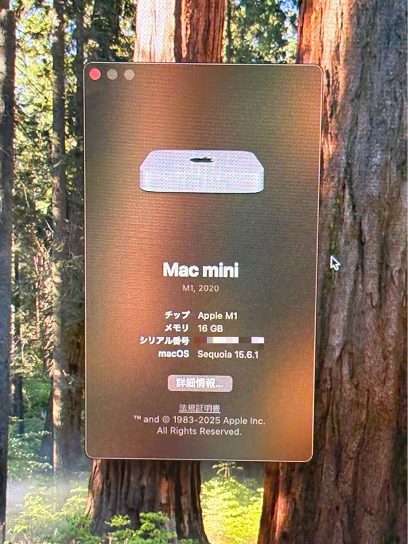 Apple Macmini M1 16GB 512GB＋純正キーボード＋マウス