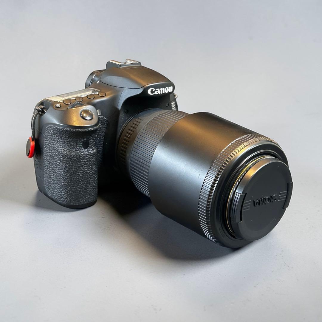 Canon EOS 60D＋SIGMA 70-300mm DG 付属品多数