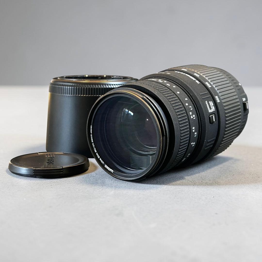 Canon EOS 60D＋SIGMA 70-300mm DG 付属品多数