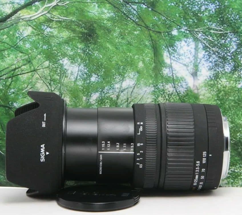 ❤普段使いこれ１本あればラクラク♪ SIGMA 18-125mm canon用❤