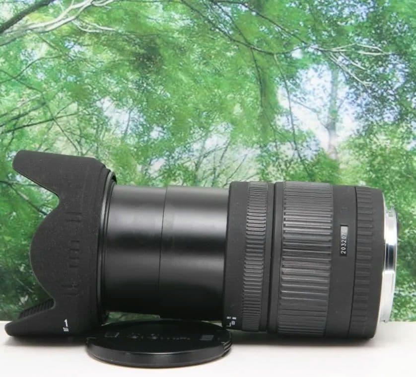❤普段使いこれ１本あればラクラク♪ SIGMA 18-125mm canon用❤