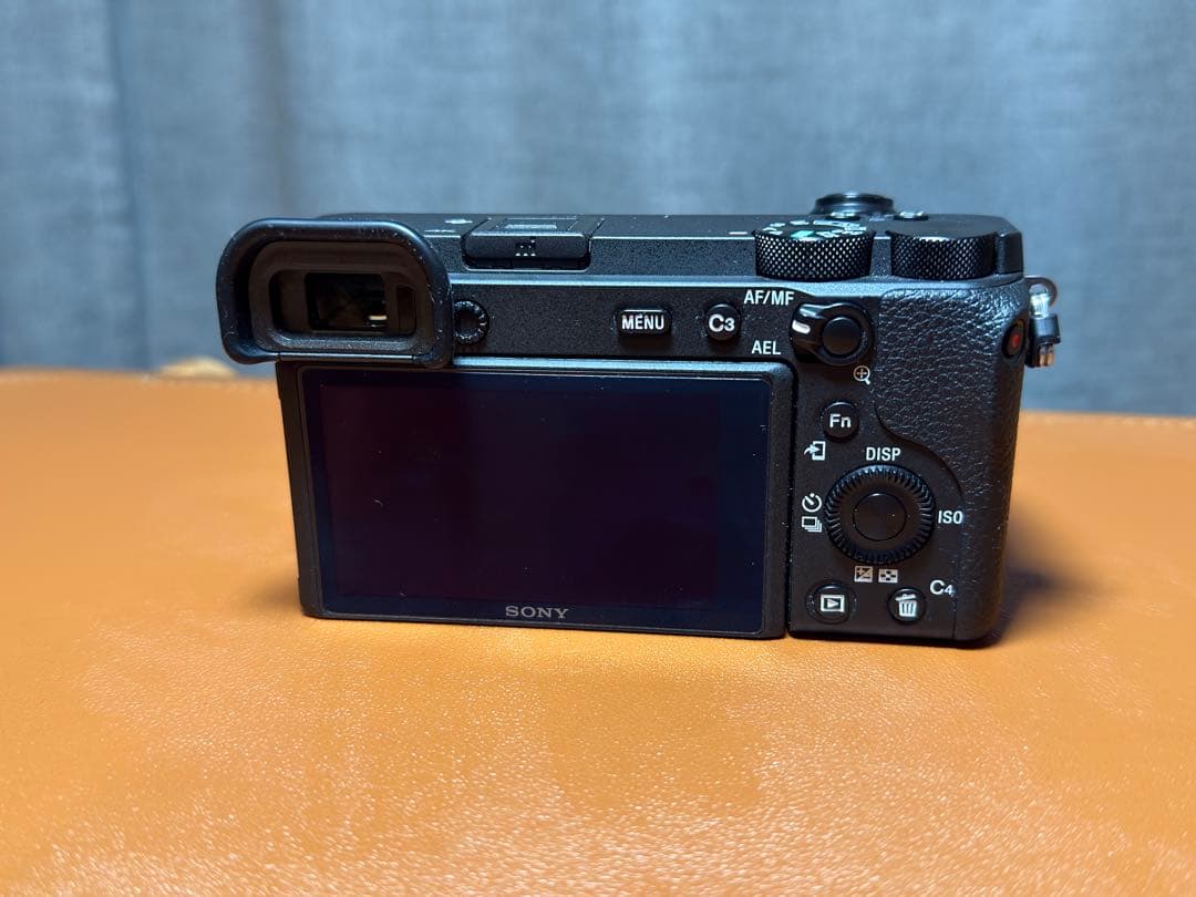 a6600 ＋単焦点レンズ2本セット　防湿庫保管