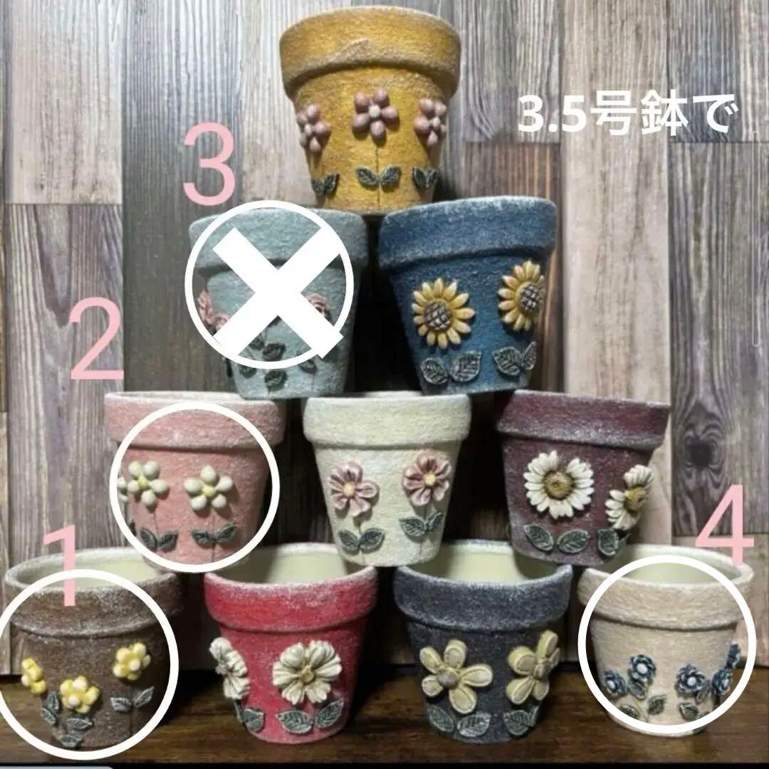のんのん　リメイク缶
