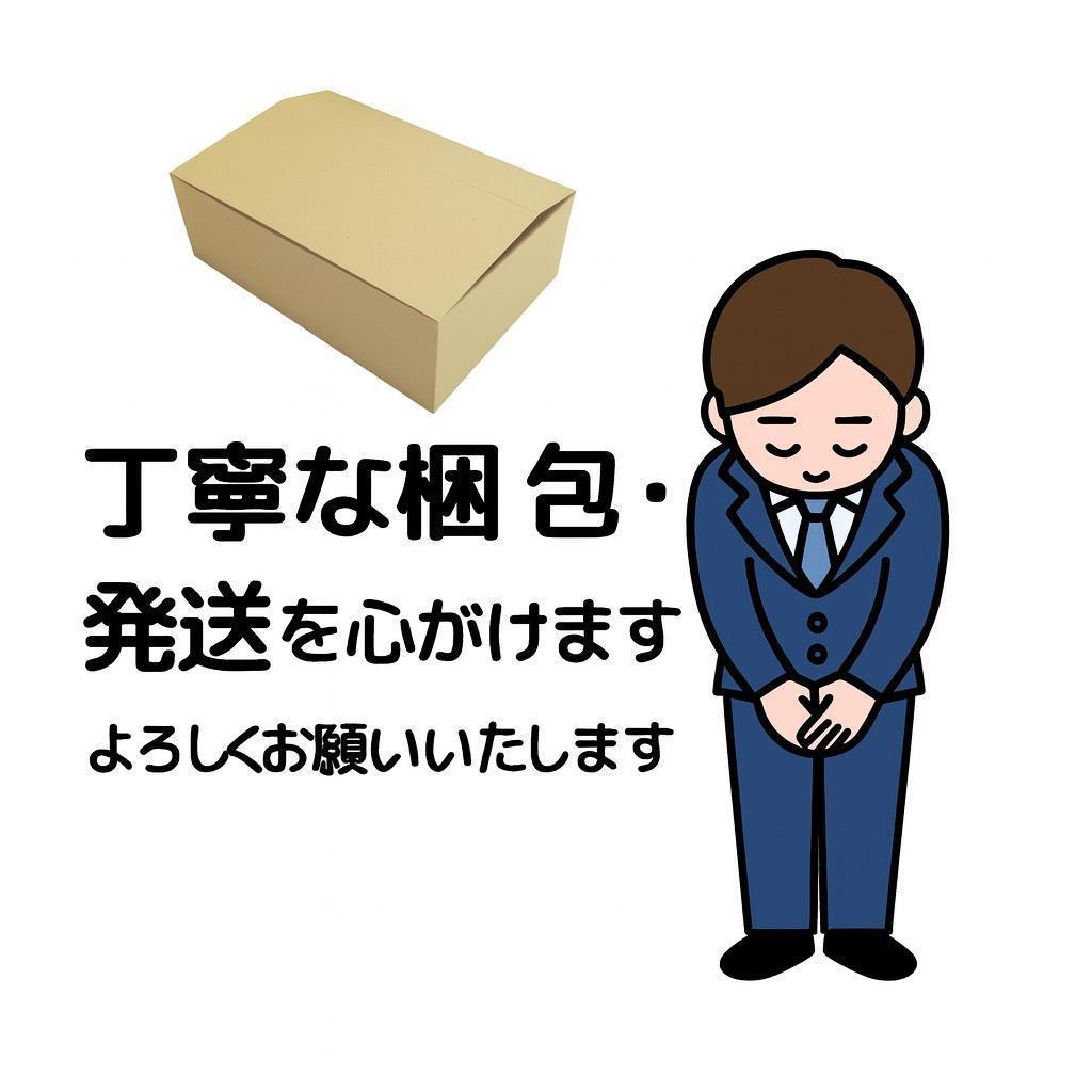 RTP-Link tapo 屋外カメラ WiFi ネットワークカメラ 無線/有線
