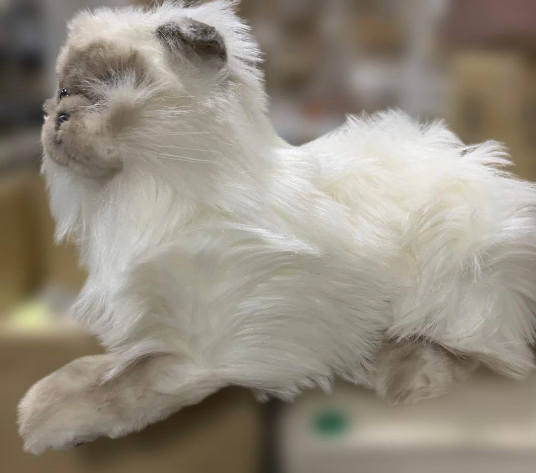 トレンドマスター なでなでねこちゃんEX ヒマラヤン