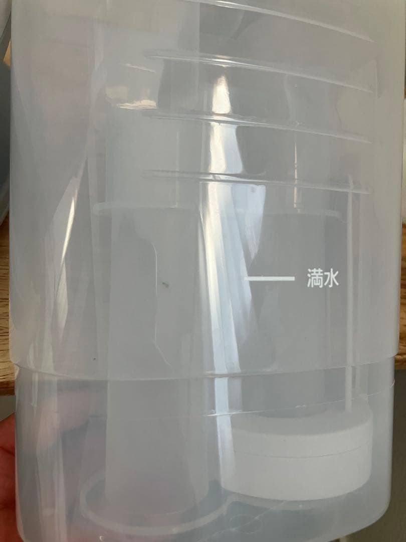 アイリスオーヤマ リンサークリーナーRNSK-P10 2023年製