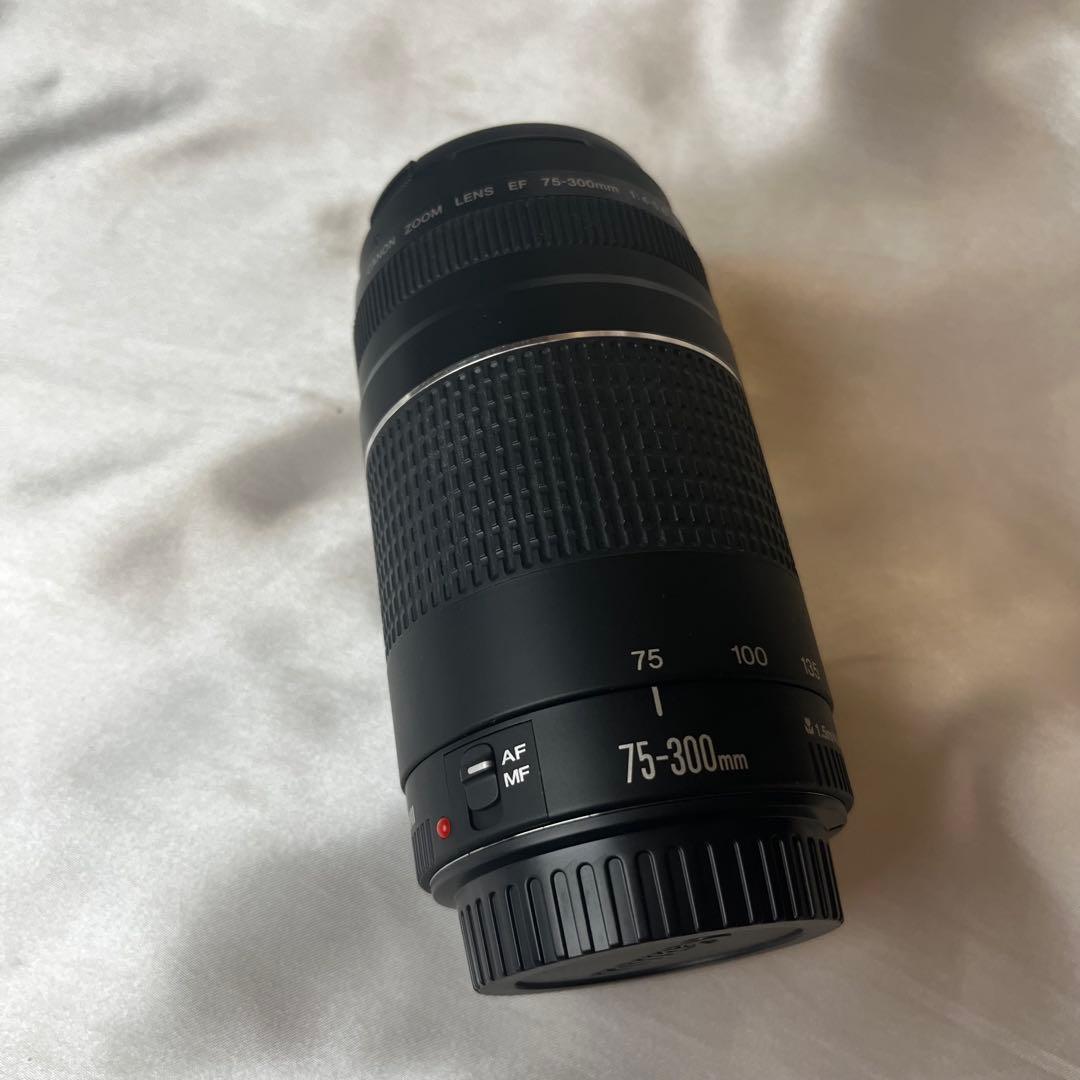 【中古美品】Canon EF 75-300望遠ズームレンズ 傷汚れなし