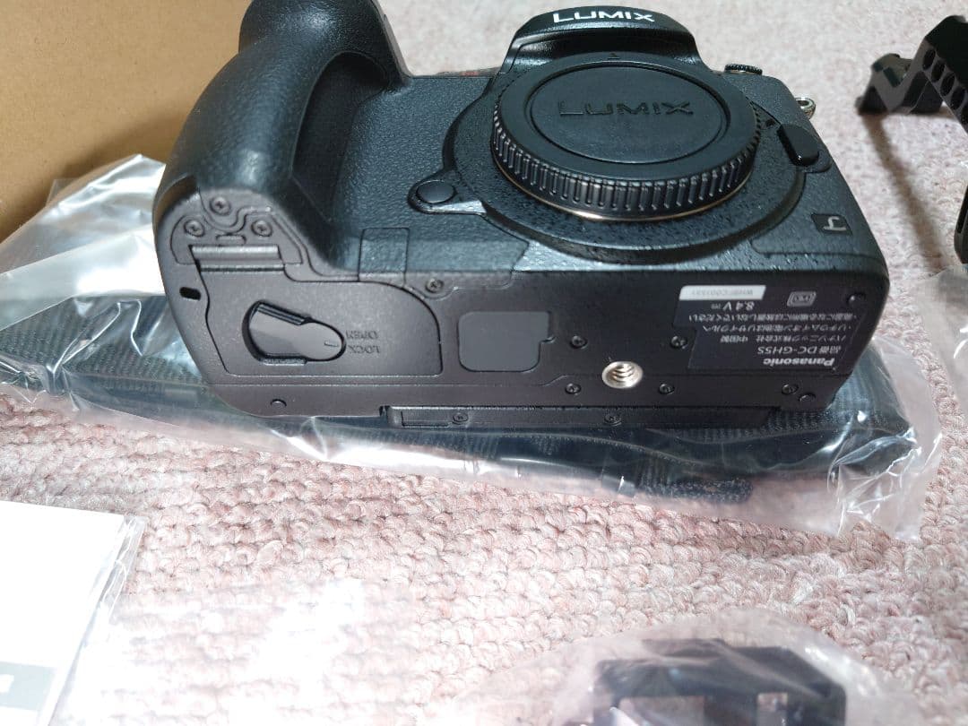 Lumix GH5S + SmallRig ケージ 室内のみ シャッター101回