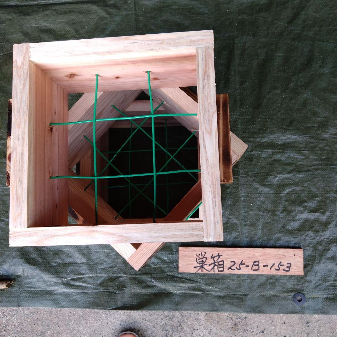 no−wsk巣箱25−Ｂ−153