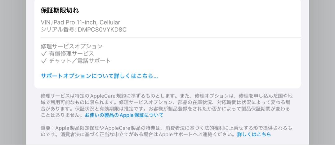 本日限定/iPad Pro(11インチ)Cellular本体 画面にひびあり