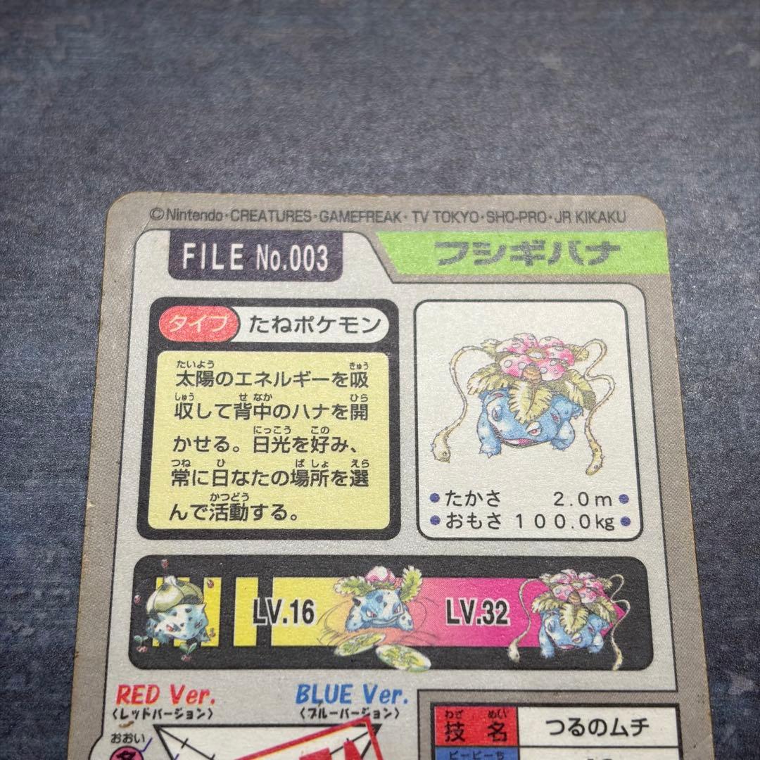 【希少品】フシギバナ FILE No.003 プリズム　緑