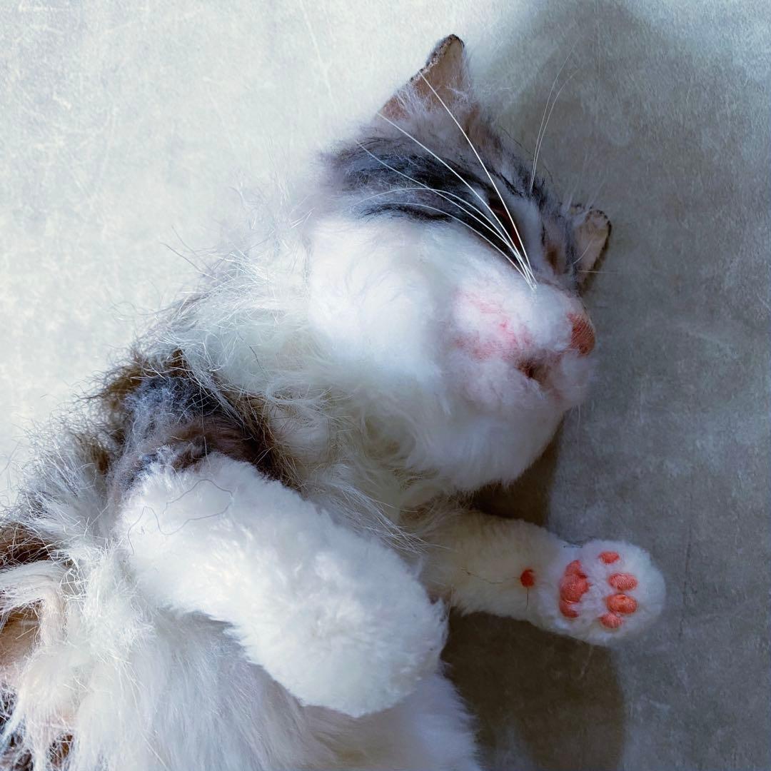 作家もの　目がキョロキョロ動く猫のぬいぐるみ　ハンドメイド　アートドール