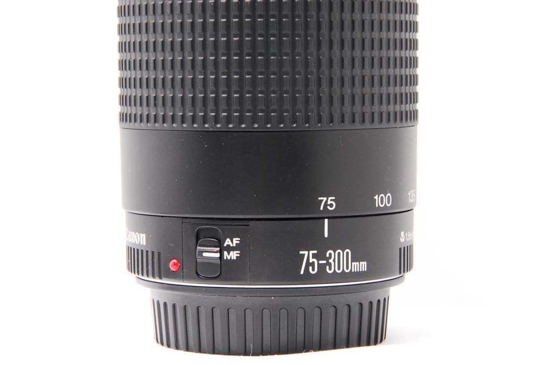 スマホだと届かない距離へ　Canon キャノン EF 75-300mm Ⅲ