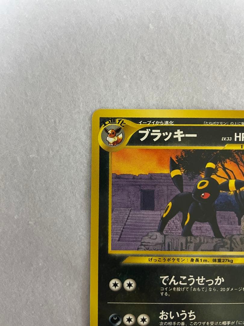 【美品】ブラッキー 旧裏 プレミアムファイル2 ★neo 遺跡をこえて