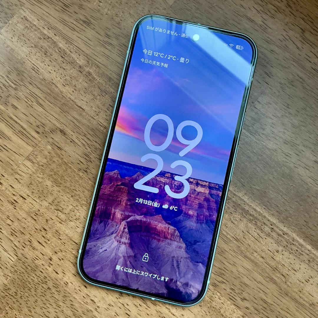 Google Pixel 9 128GB ジャンク　放電＜外装/液晶美品＞
