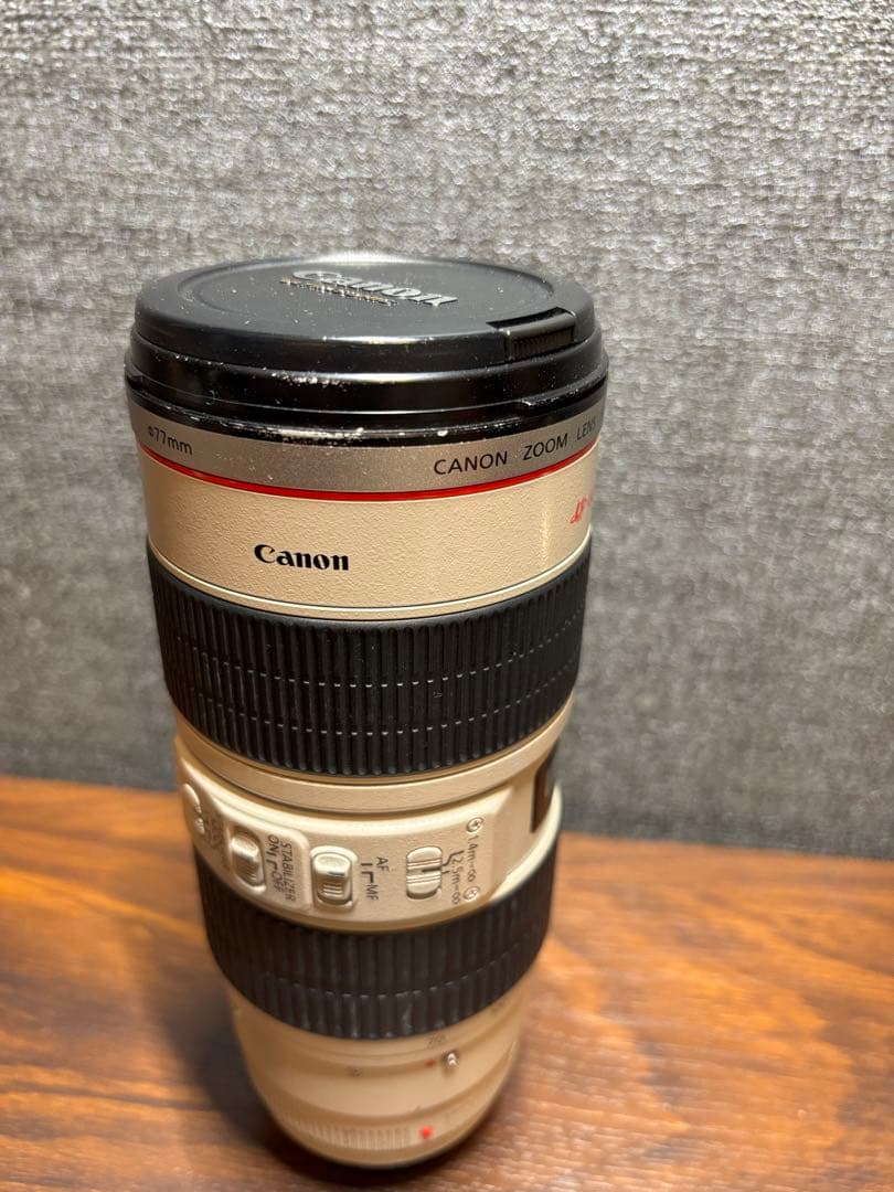 デジタルカメラ Canon EOS-1D X + EF 70-200mmUL-USM