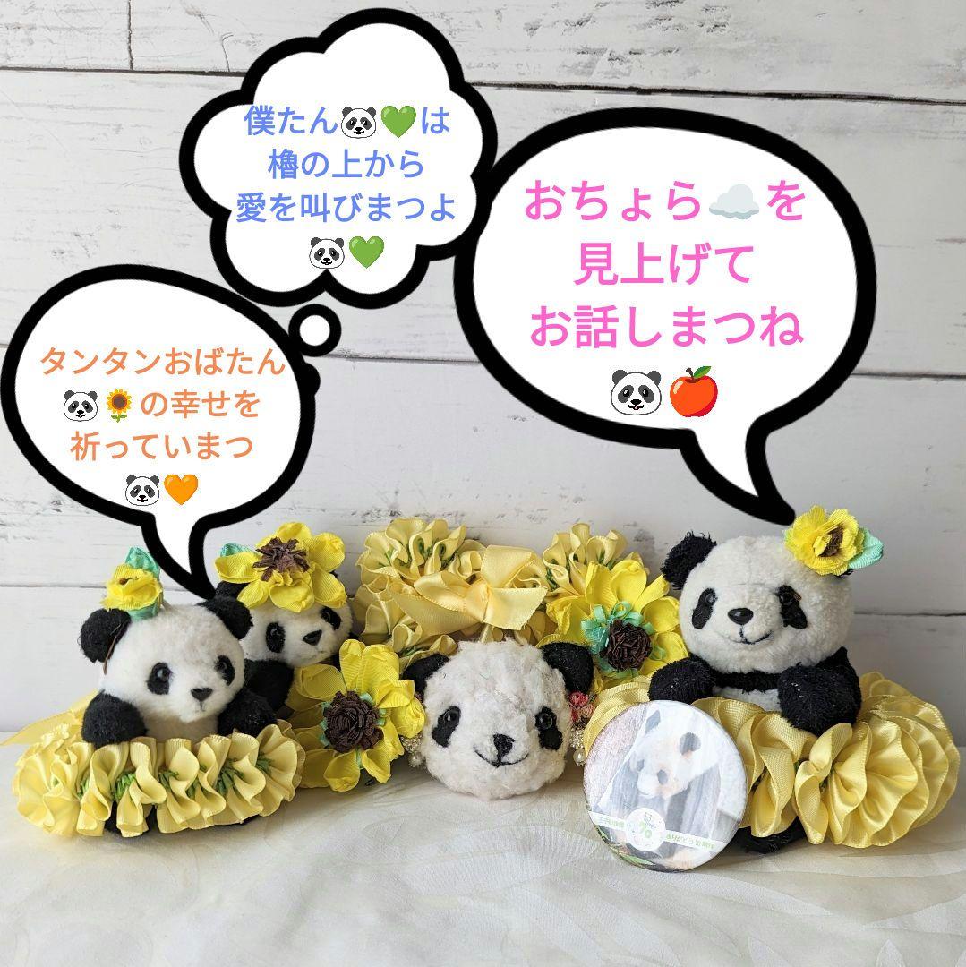 【展示のみ】素敵可愛い神戸のお嬢様♡ひまわりタンタン♡
