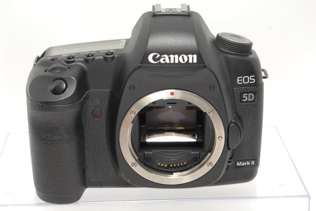 ☘️フルサイズ入門☘️Canon EOS 5D Mark II 望遠ダブルレンズ