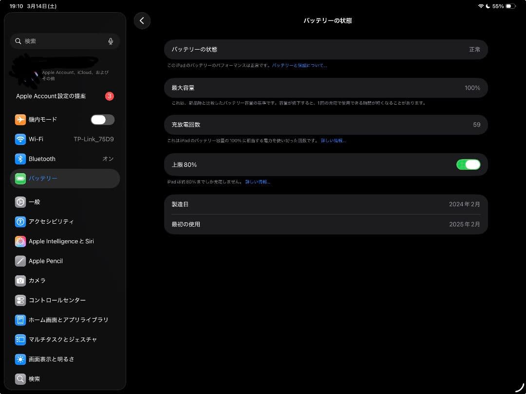 iPad Pro M4 13インチ256GB