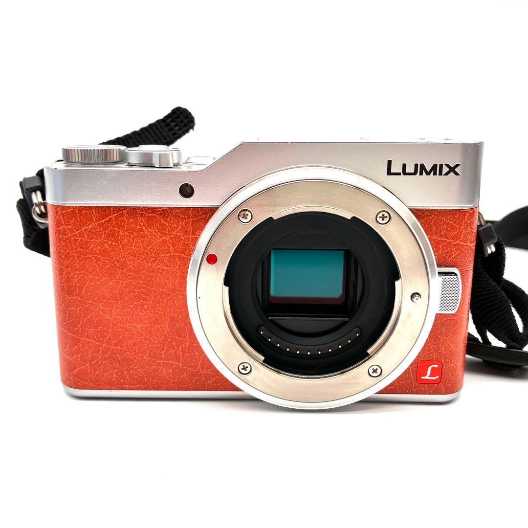 Panasonic DC-GF9 オレンジ　14-42mmレンズキット