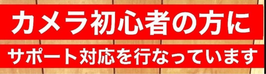 即購入OK！大人気！CANON 一眼レフ用　ズームレンズ！望遠レンズ！袋付き
