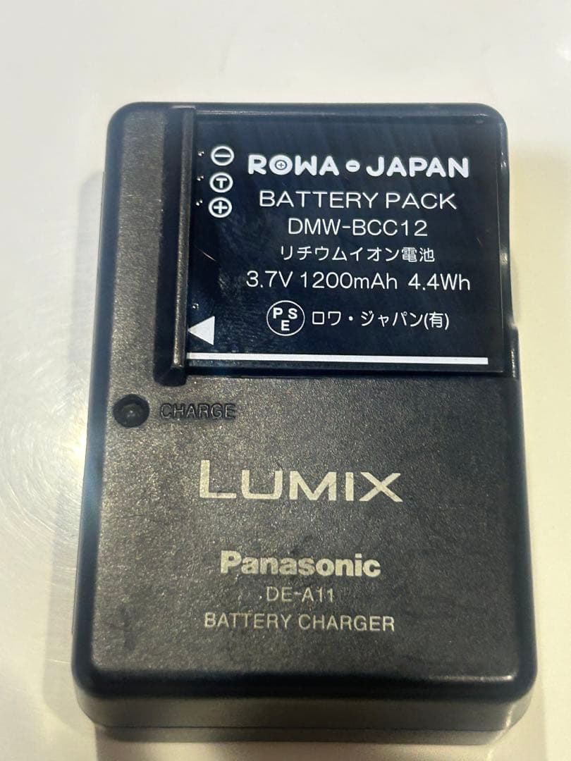 LUMIX DMC-FX100 12メガピクセル