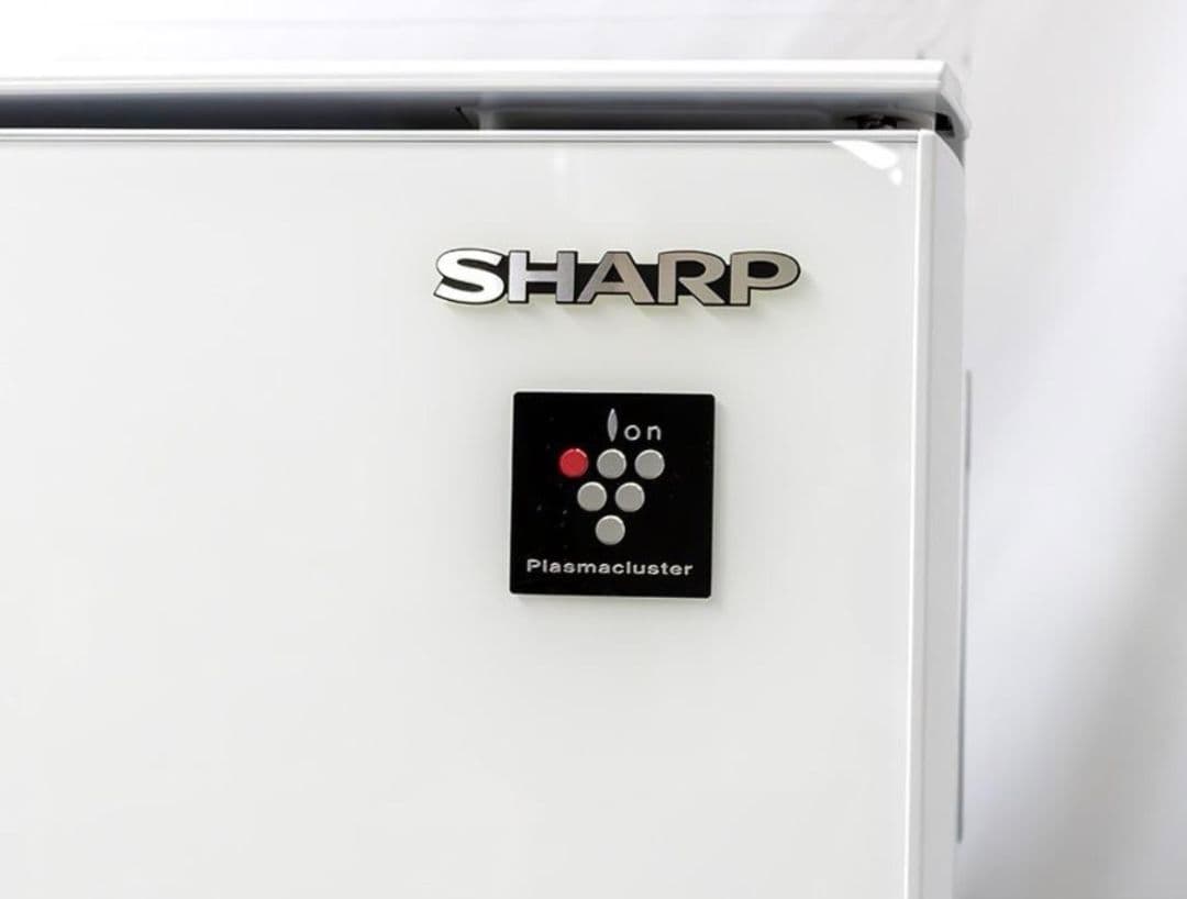 レタス　美品　SHARP 冷蔵庫 プラズマクラスター機能付き　2022年製