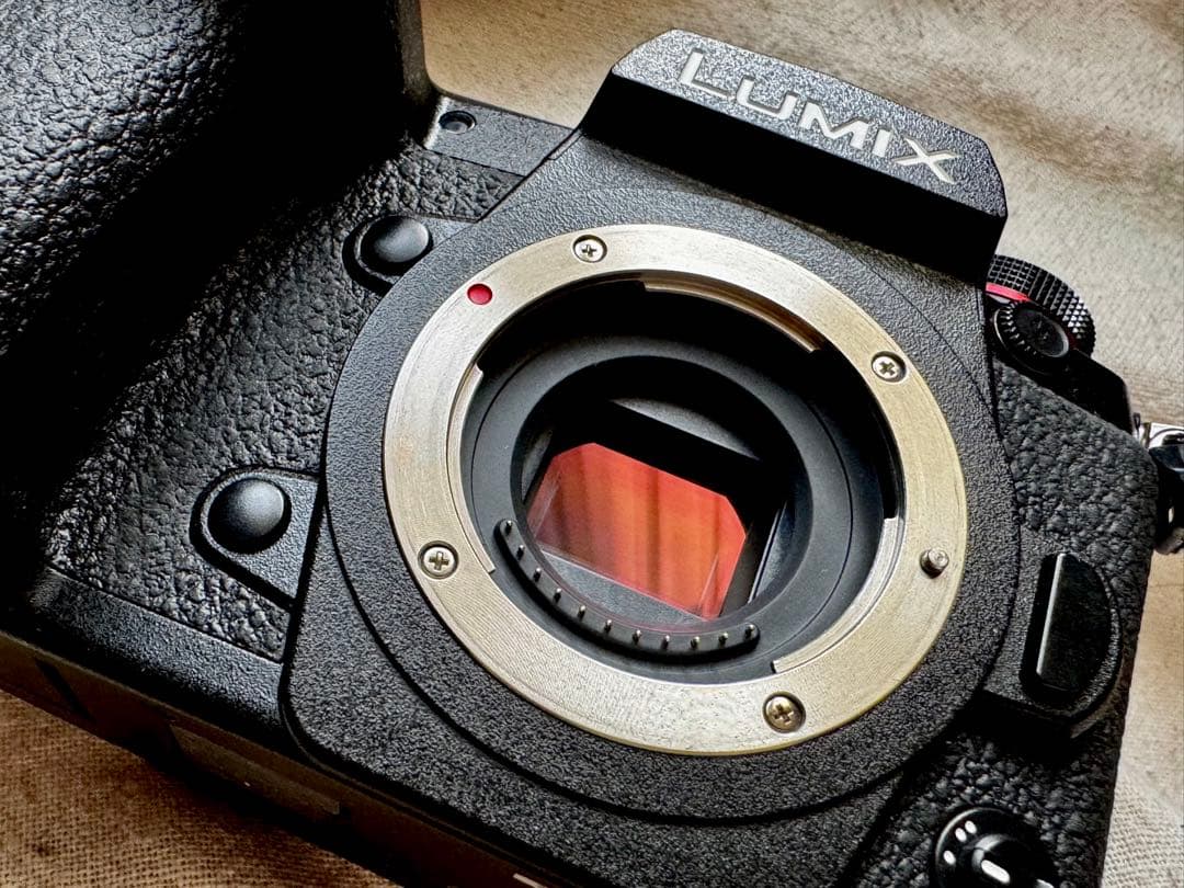 Panasonic Lumix G9Pro/グリップ シャッター数46,221